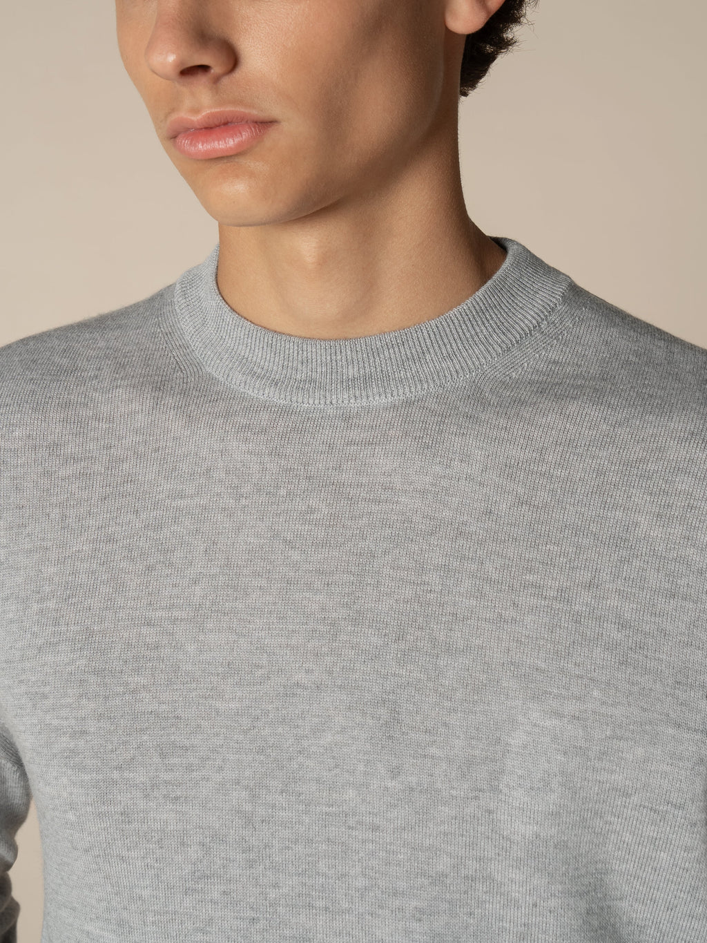 Light Grey City Crew